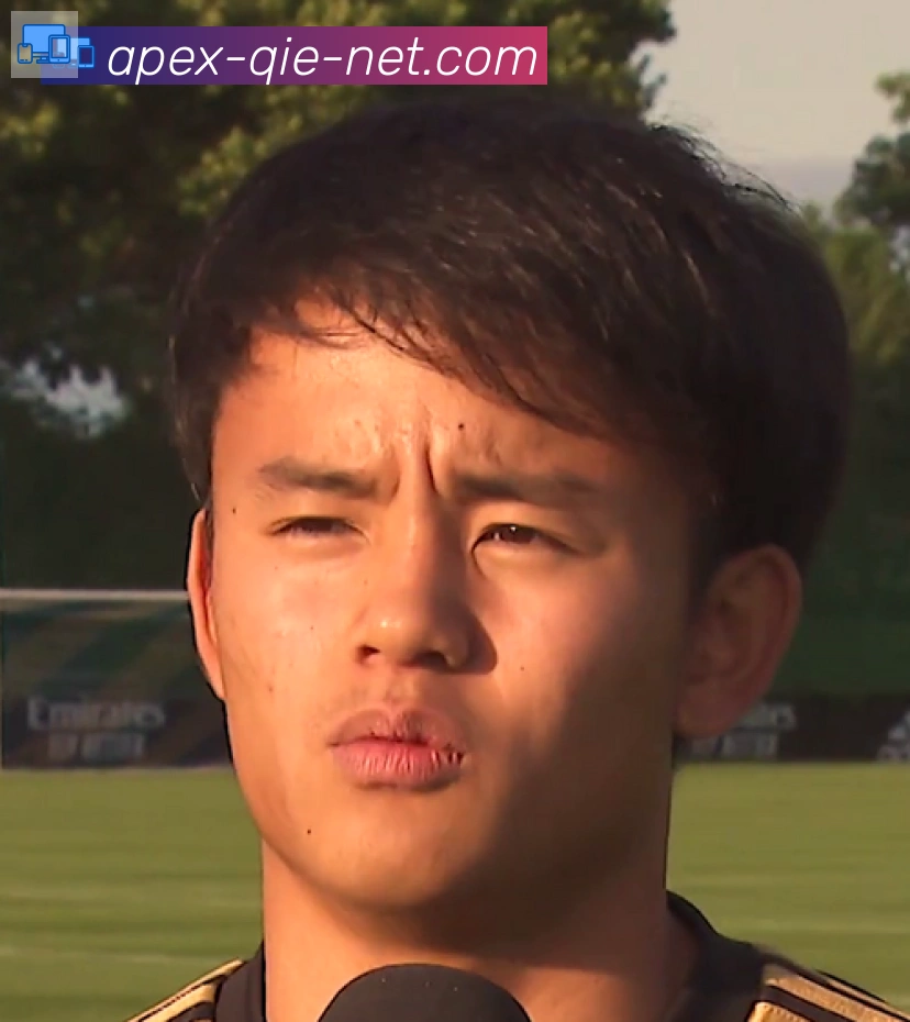 维尼修斯